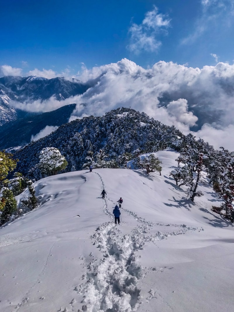 Delhi to Manali by Road β The Complete Travel Guide
